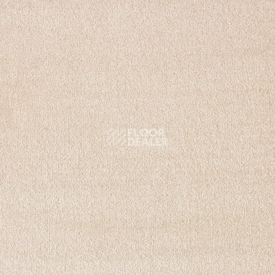 Ковролин AW Seduction 31 фото 1 | FLOORDEALER